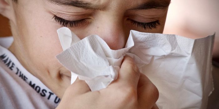 With Allergies & Sniffles, the Nose Carries Different Fungi