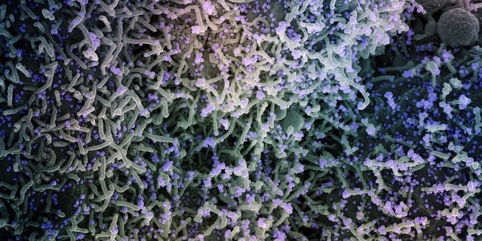 Resistance to Human Interferons Emerges in SARS-CoV-2 Variants