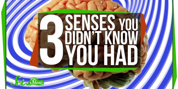 Surprise! You have more senses than the five you learned in school!