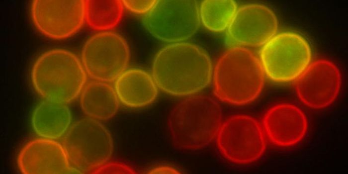 A Better way to Develop new Drugs