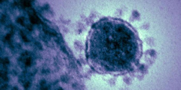 Wuhan Coronavirus: WHO Declares Global Emergency