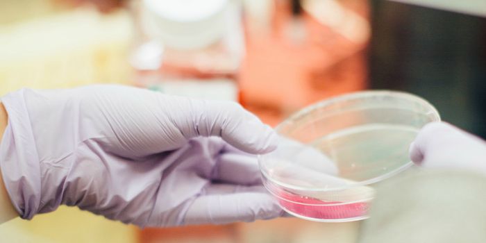 In New Jersey, Medical Marijuana Patients Can't Be Fired for Drug Tests