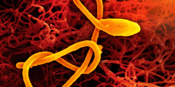 Ebola Outbreak in Uganda Triggers Lockdowns