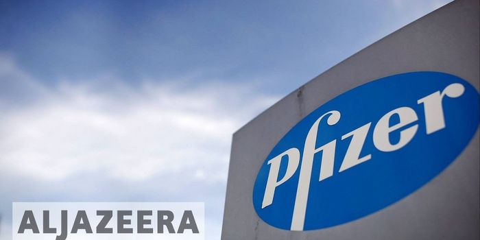 Pfizer Ends Research on Alzheimer's and Parkinson's