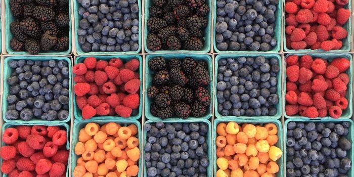 Eating Fruits and Vegetables May Lower Alzheimer's Risk