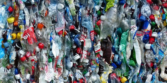 Microplastics Found in Prostate Cancer Tissue