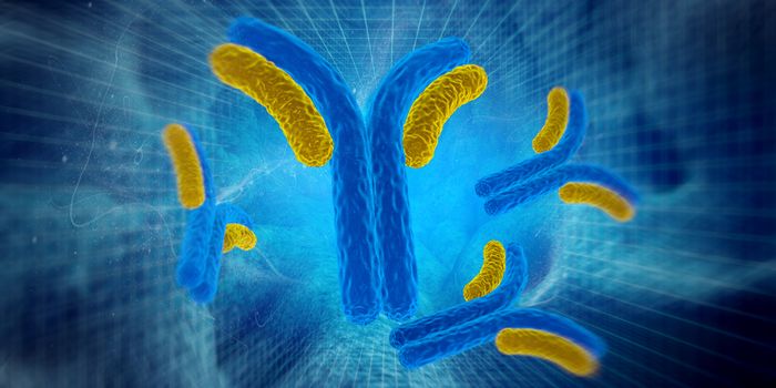 How do antibodies make infections worse?