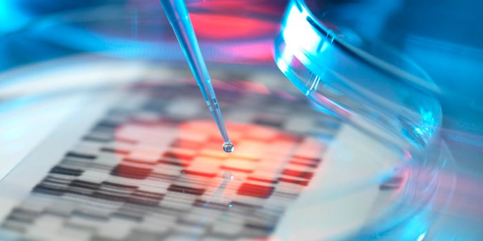 Improved CRISPR System Reads Induced Pluripotent Stem Cell Genome For the First Time