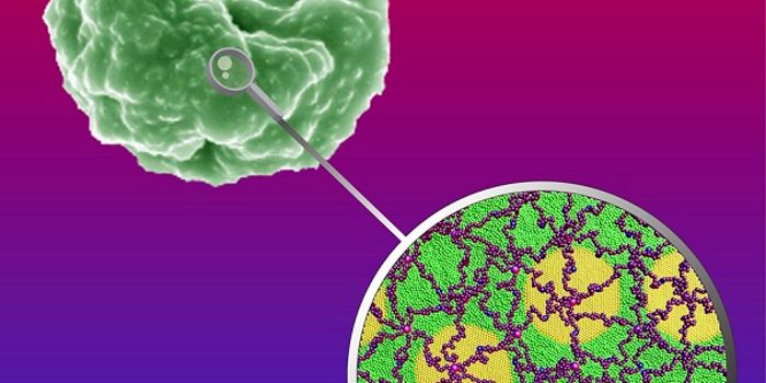 Model Strips Away Mechanisms of Malaria Infection