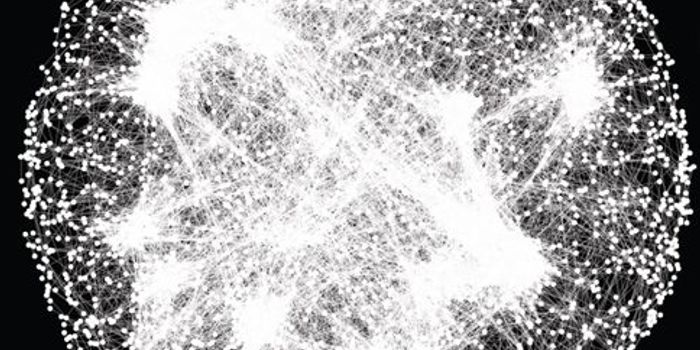 Genetic Interaction Network Diagrams Cellular Function