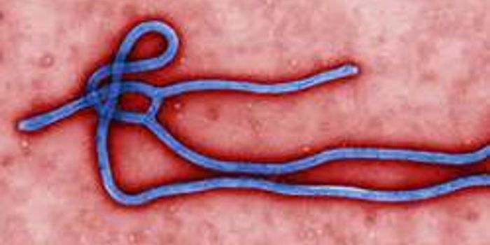 New Life Sciences Research Reveals Early Stage Treatments  to Help Scientists in the Fight against Ebola