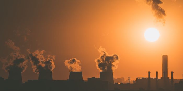 Gene That Fuels Antibody Factories Discovered