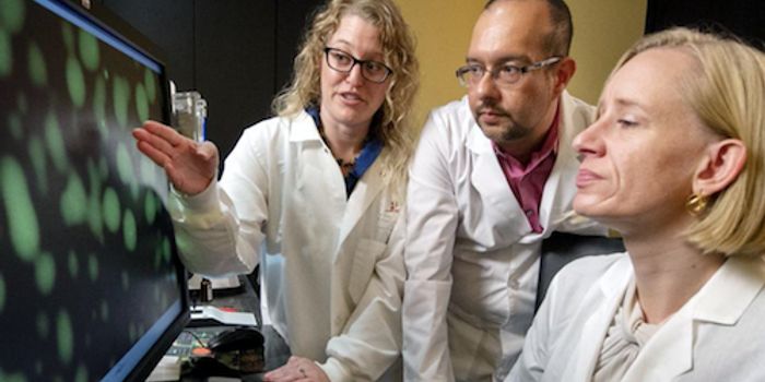 Liquid Phase Separation may Play a Role in Cancer