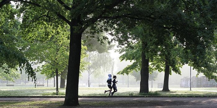 Exercise Burns More Calories Than Previously Thought