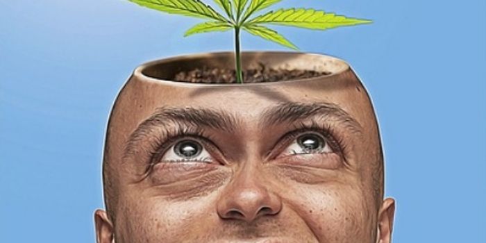 Canada Legalizes Recreational Marijuana Sales