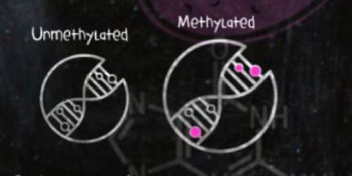 Epigenetics: How your decisions can influence your DNA