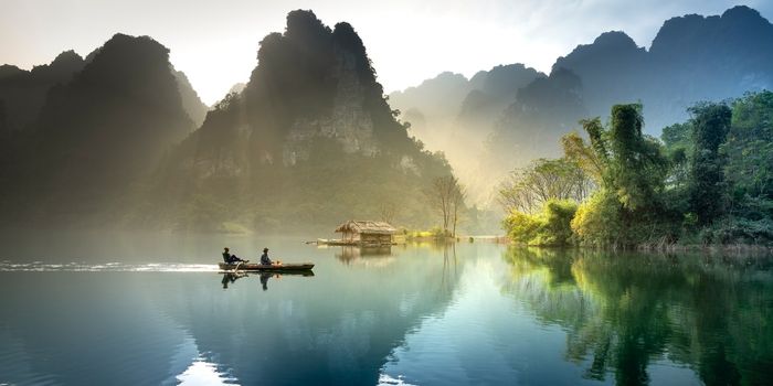 Microscope to Diagnose River Blindness Is a Winner