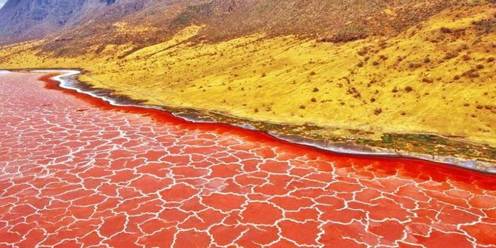 Lake? Or Dried Out Desert?