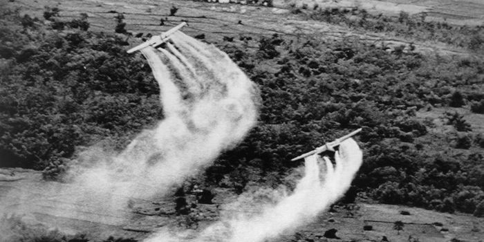 Diagnosed: Agent Orange is the Culprit Behind Rare Sarcoma