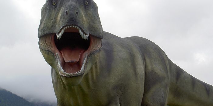 T. Rex Couldn't Run, Research Finds