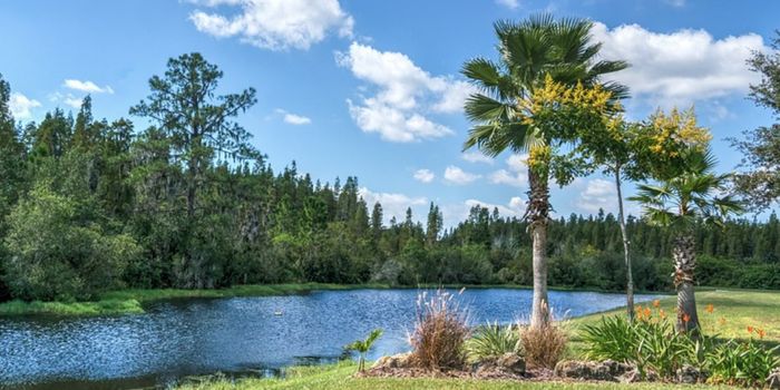 Leprosy May Now be Endemic in Florida