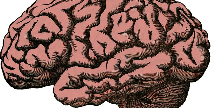 An Amino Acid Can Improve Radiation Therapy for Metastatic Brain Cancer