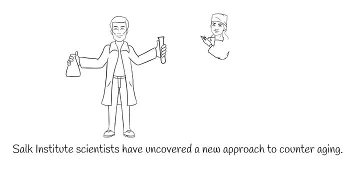 Slowing the Aging Process