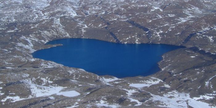 Antarctic Microbes Reveal a new Kind of Plasmid