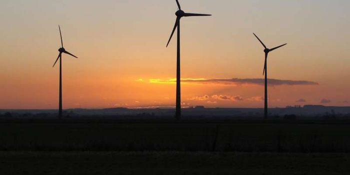 Scientists still unsure of how wind farms impact bat fatalies