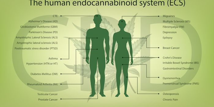 Target Endocannabinoids to Treat Chronic Conditions