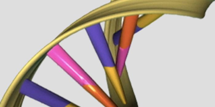 A 'Timer' in DNA Sets the Rate of Random Mutations
