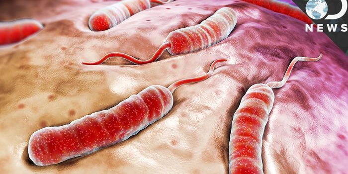 How Cholera Affects the Body
