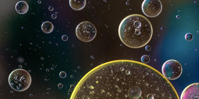 Immune Cells Can Use 'Waste' as a Powerful Fuel