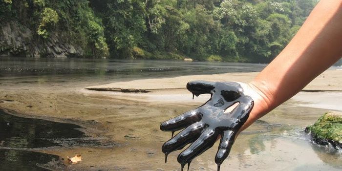 Amazon Crude Oil: what is your gas tank filled with?