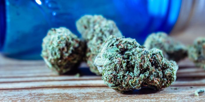 Report Sheds Light on Cannabis Consumers' Cultivar and Terpene Preferences