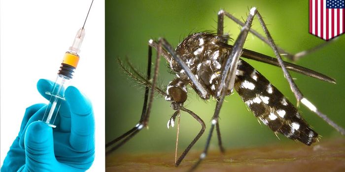 Dengue Vaccine Reaches the Clinic, with Restrictions