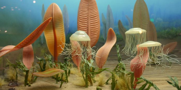 Modern Animals Still Have Similarities to Our Weird Ancient Ancestors