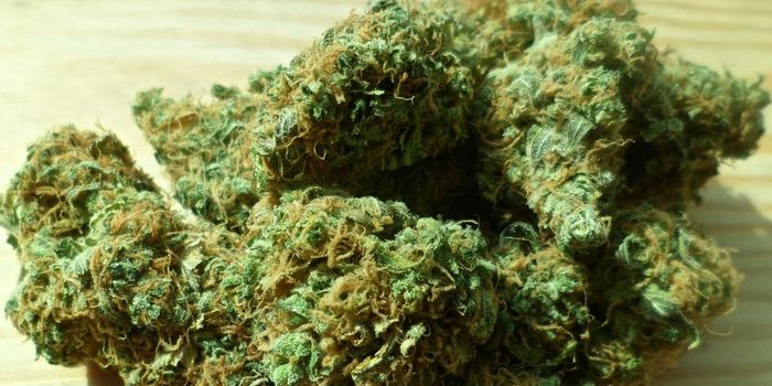 Why Delta-8-THC is Different to Regular THC