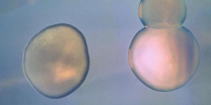 Investigating the Origins of a Cholera Epidemic