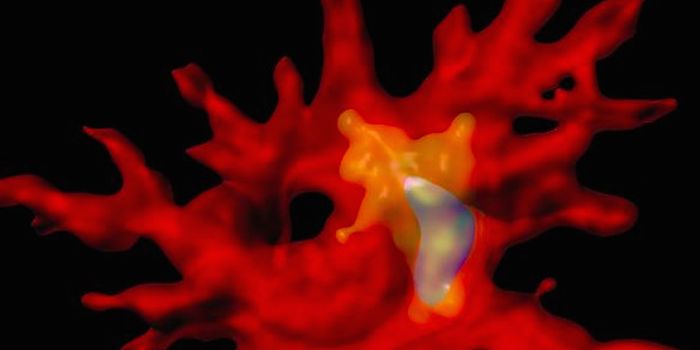 World-First Cancer Drugs Could Work in Larger Group of Patients