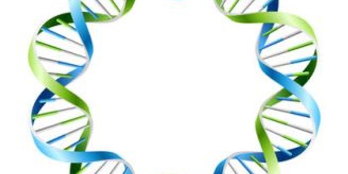 Discovery Sheds Light on Evolution, Cancer