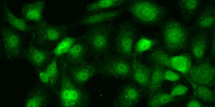 An End to Cancer Pain?