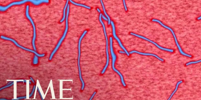 The Marburg Virus Outbreak in Uganda