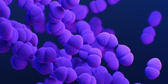 Understanding Why Flu Can be Fatal