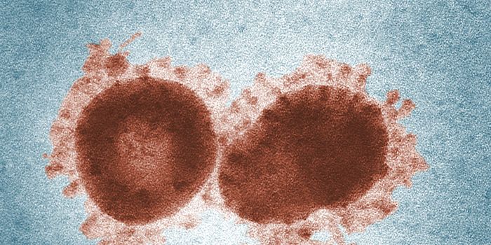 Exosome delivery of an anti-HIV drug to the brain