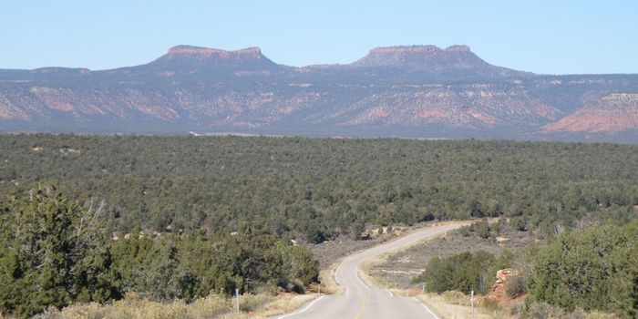 Patagonia Stands for Bears Ears National Monument