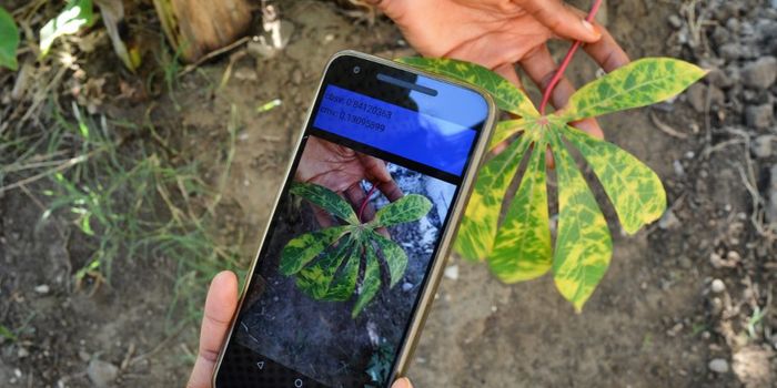 PlantVillage Nuru: An App that Predicts Climate Change Stress for Farmers in Africa