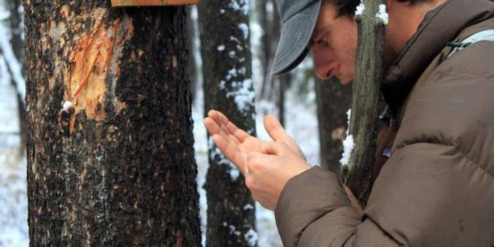 Adventurers turned scientists collect crucial environmental data