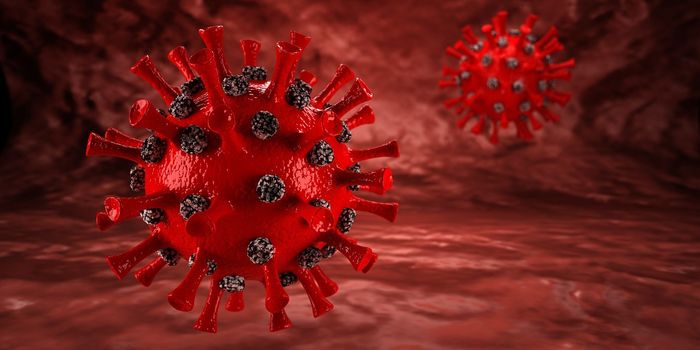 Novel Antibody Response Improves Immunotherapy in Cancer Patients