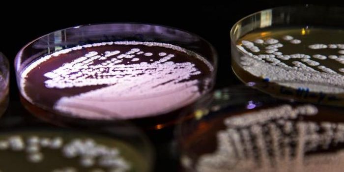 Antibiotics & Resistance Come From the Same Place